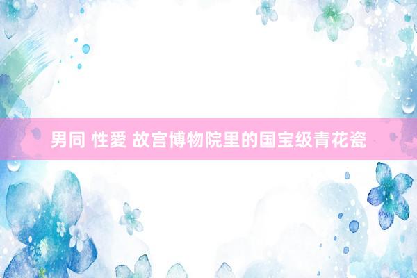男同 性愛 故宫博物院里的国宝级青花瓷