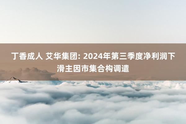 丁香成人 艾华集团: 2024年第三季度净利润下滑主因市集合构调遣
